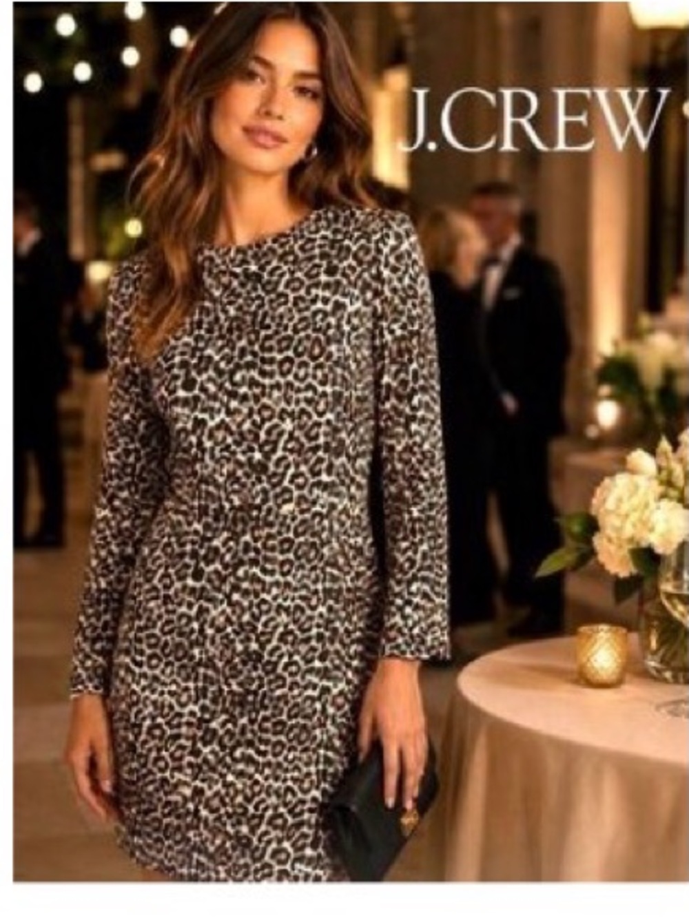 J. Crew Leopard Print Long Sleeve Shift Dress in Brown and Cream